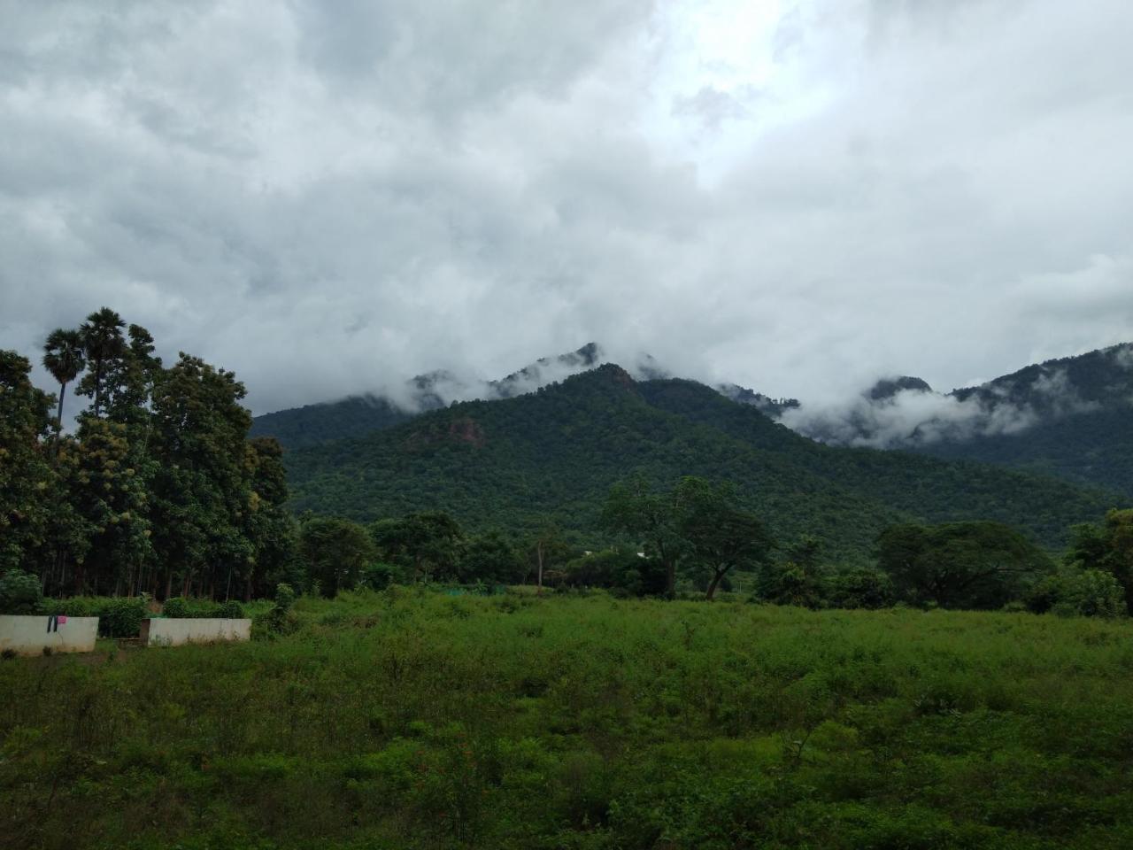 Drizzle Drop Inn Ooty Dış mekan fotoğraf