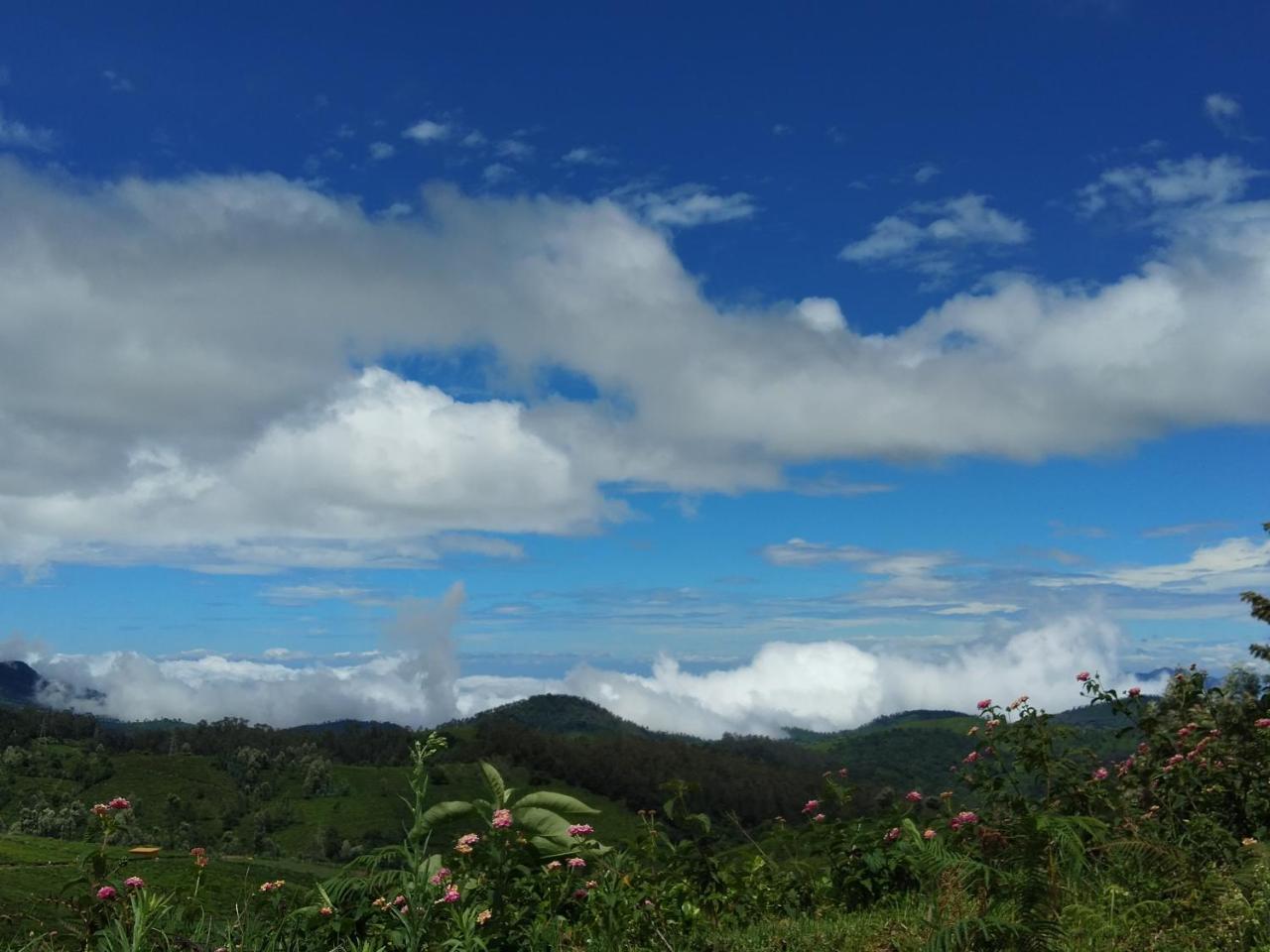 Drizzle Drop Inn Ooty Dış mekan fotoğraf